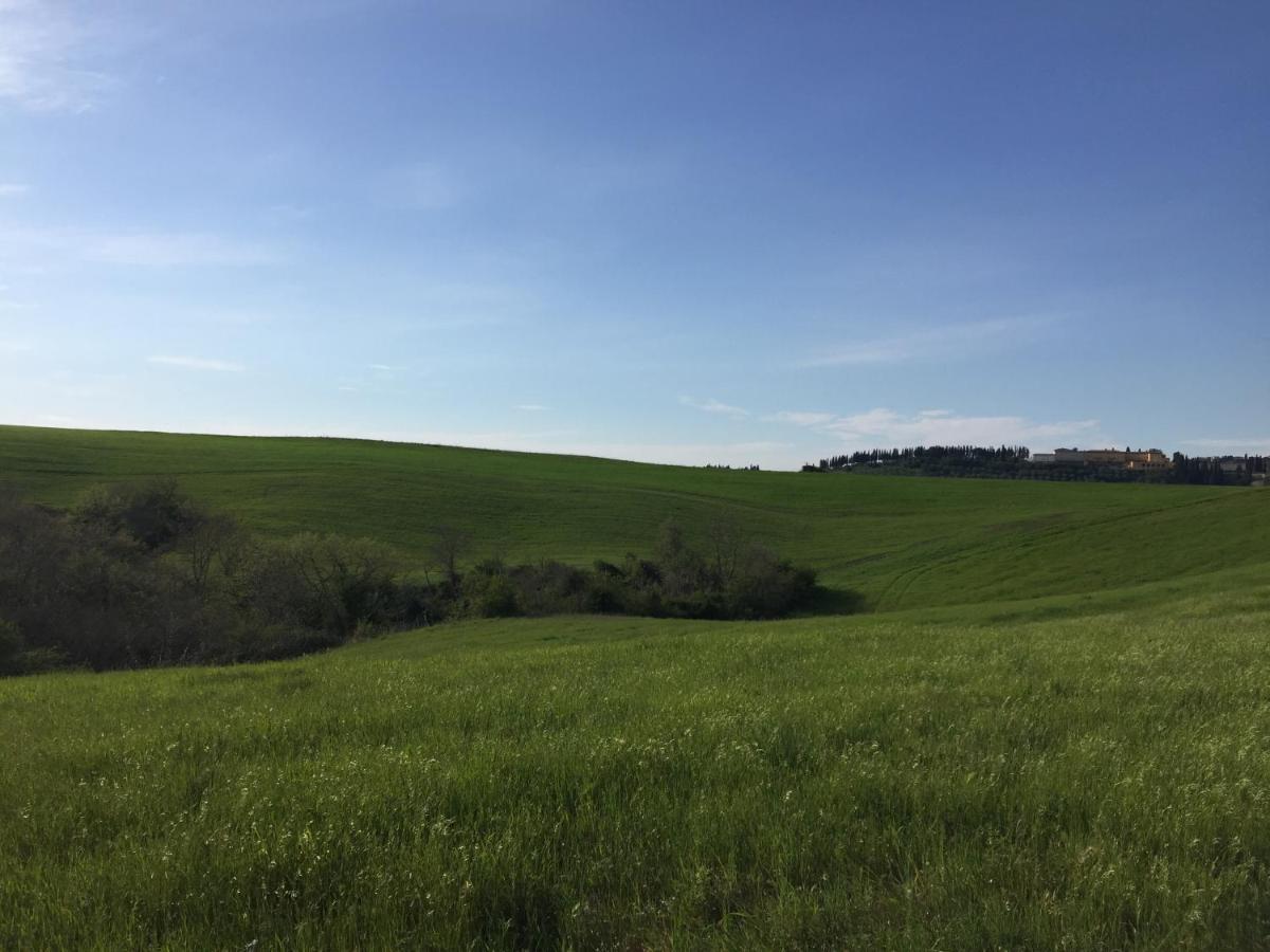 Agriturismo San Leone Volterra Dış mekan fotoğraf